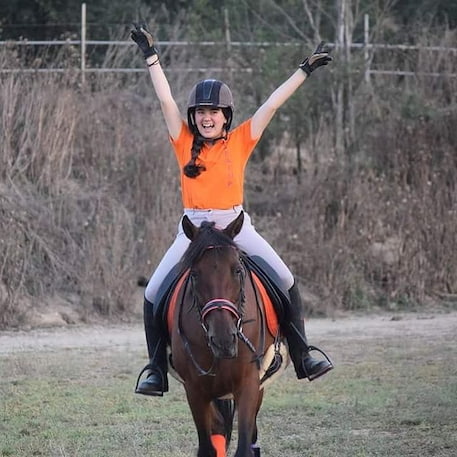 Transporte de Caballos en España caballos cabalop barcelona