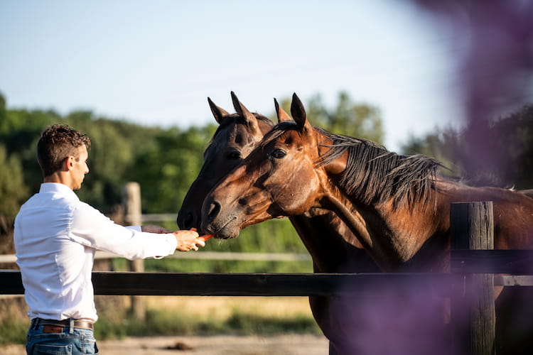 caballos en barcelona 1 caballos en barcelona 1